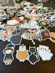 Cheerleader Halloween Boo Bag Kit